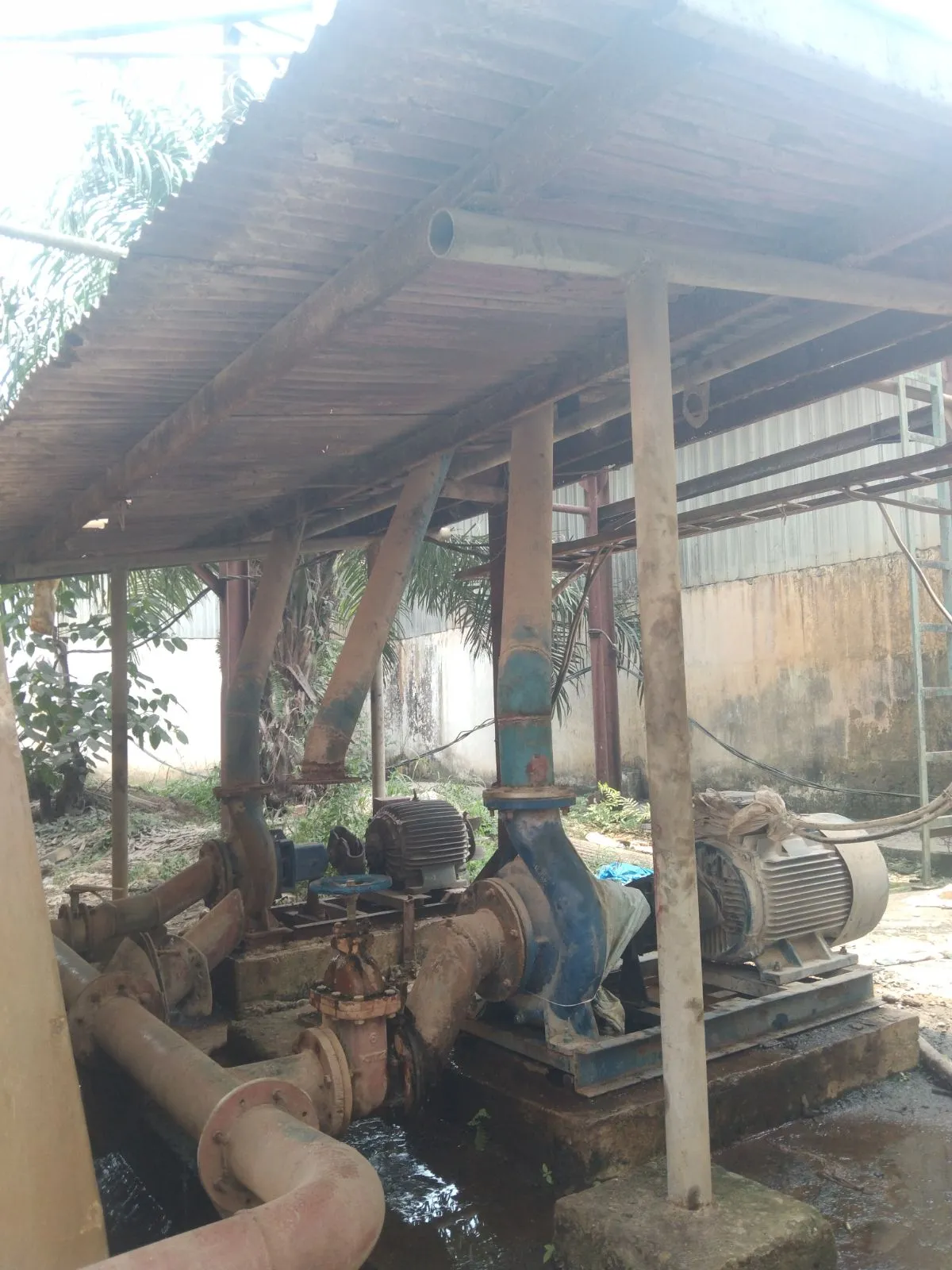 Dokumentasi 1 PT. FLORINDO MAKMUR TULUNG BUYUT