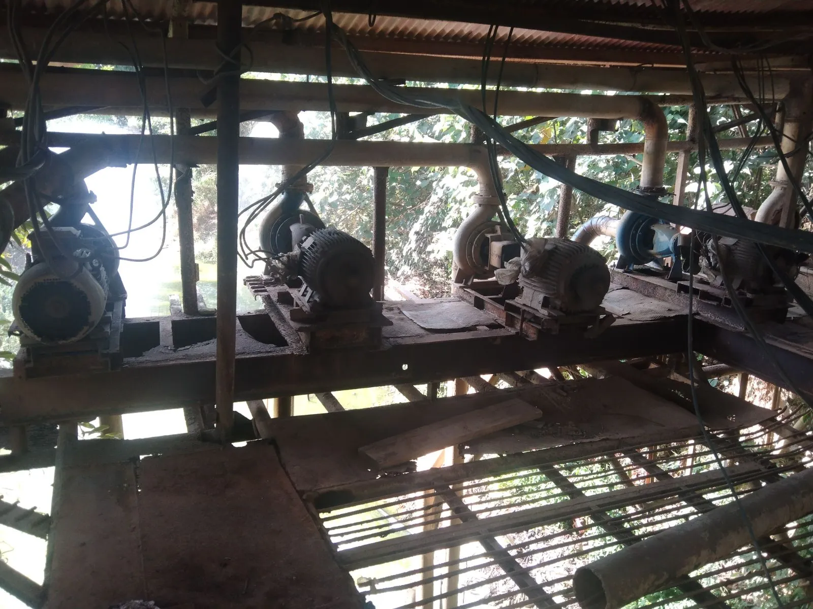 Dokumentasi 1 PT. BUDI START SWEETENER A. DALEM